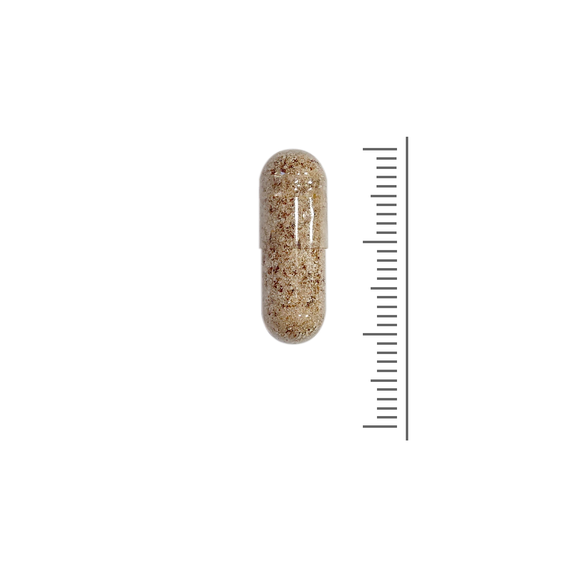 Sanaslank Vitamine B complex (60 plantcaps)