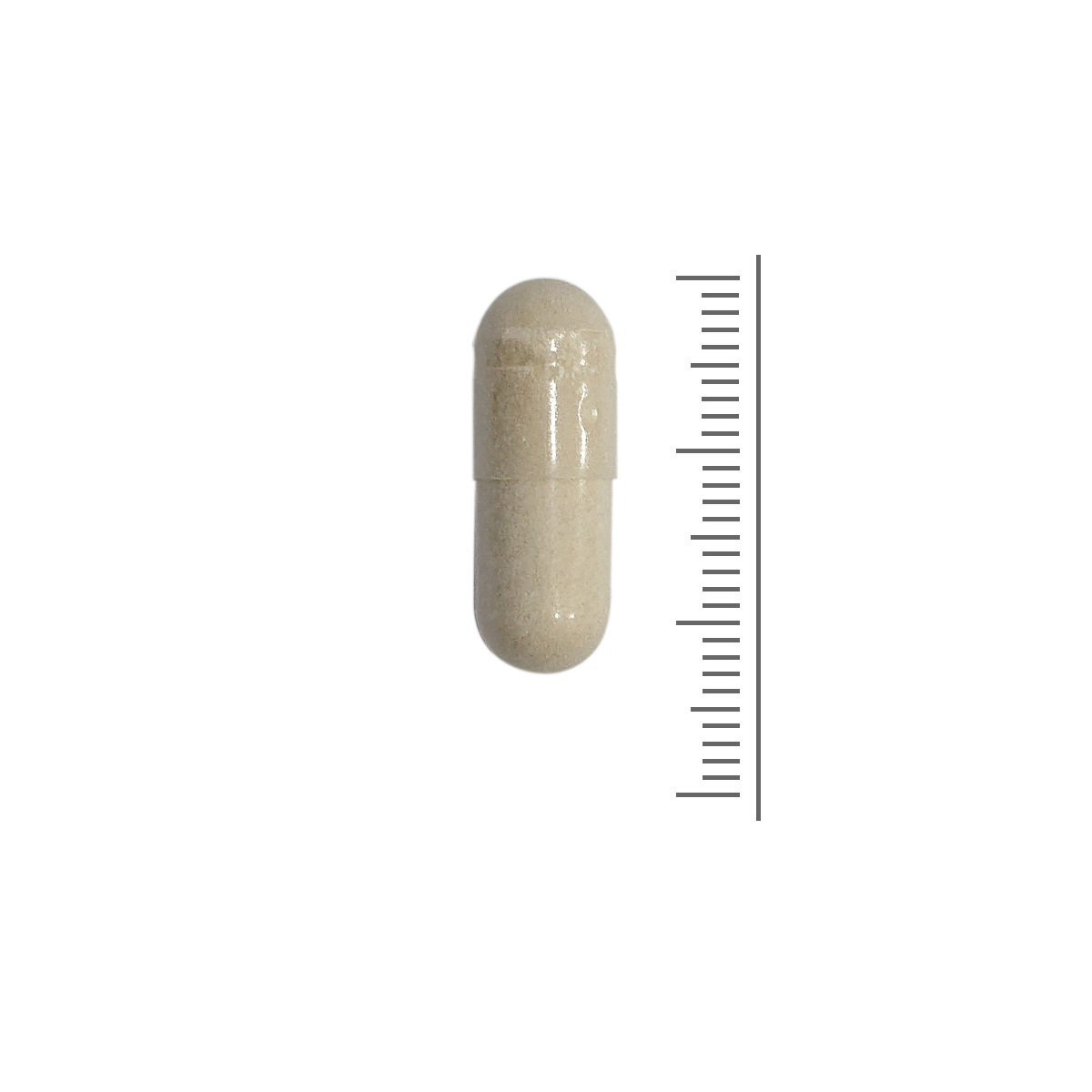 SanaSlank ester C (Vitamine C gebufferd)