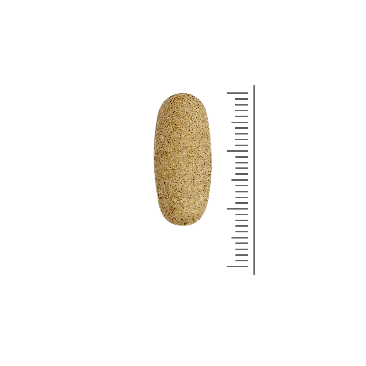 SanaSlank megavitaminen en mineralen (75 tabletten)